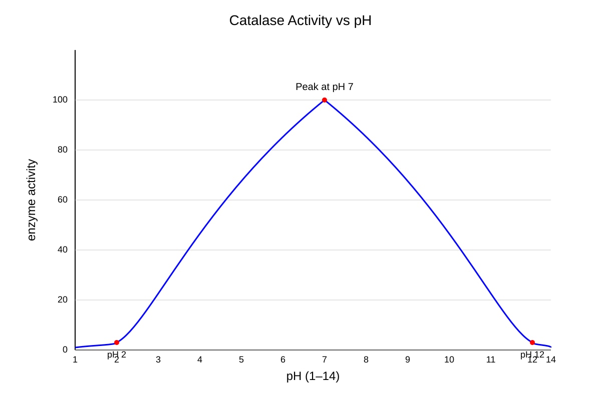 Graph for Q15 (SEC3 Biology)