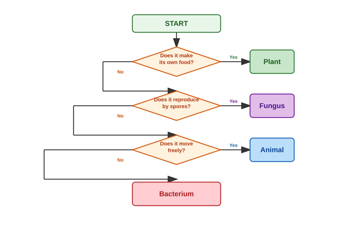 Diagram for Q7 (P4 Science)