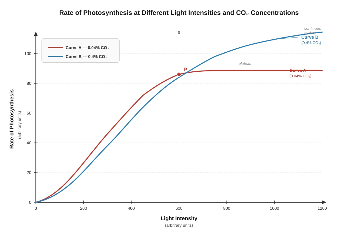 Graph for placeholder 2 (SEC4 Combined Sci Bio)