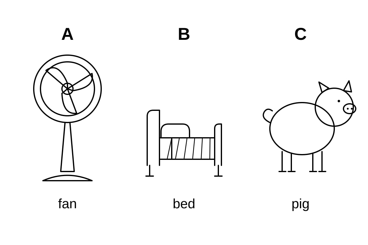 Figure for Q7 (P1 English)