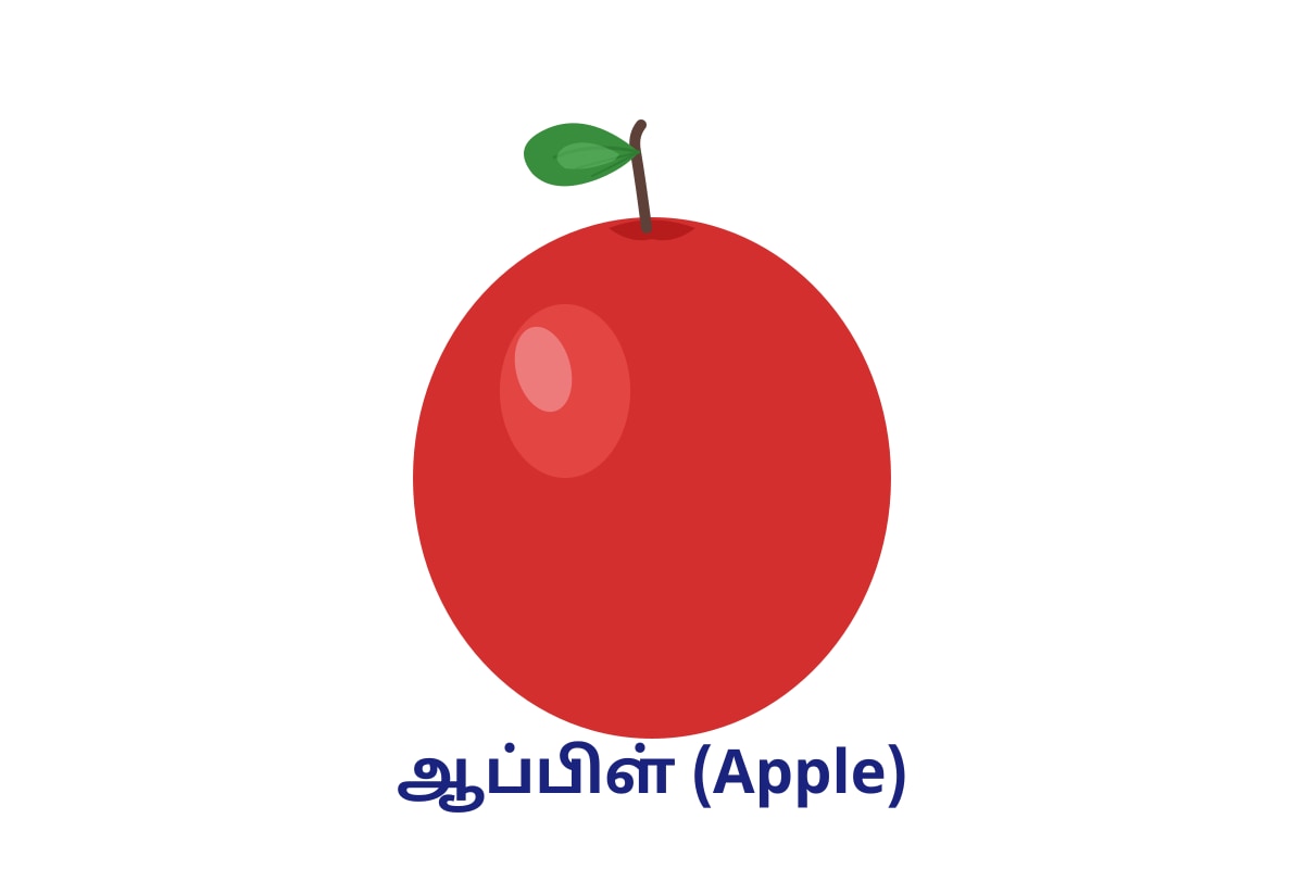 Figure for Q1 (P1 Tamil)