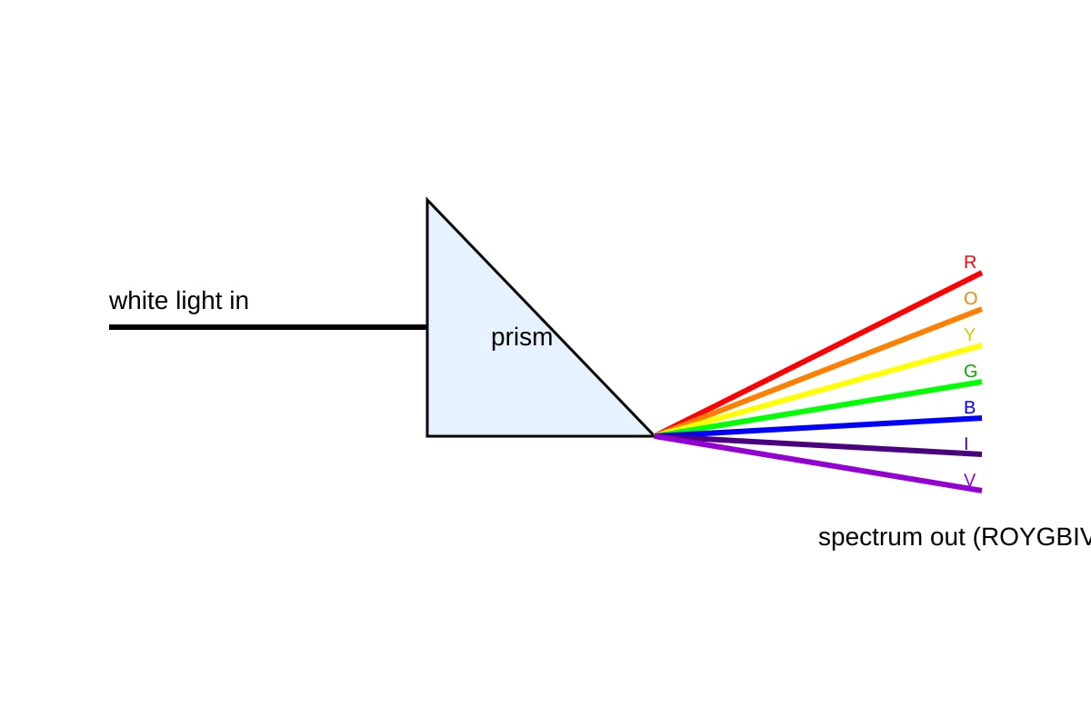 Diagram for Q19 (P6 Science)