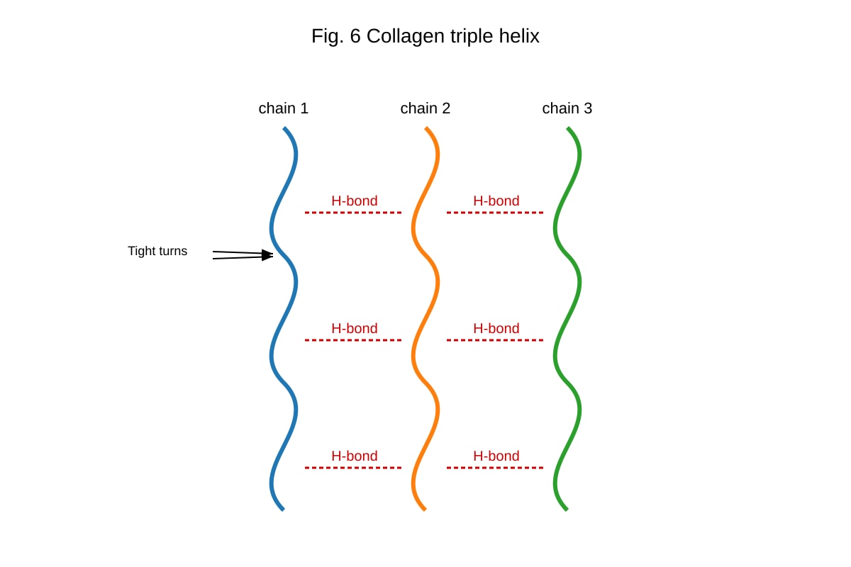 Diagram for Q14 (ALEVEL Biology H2)