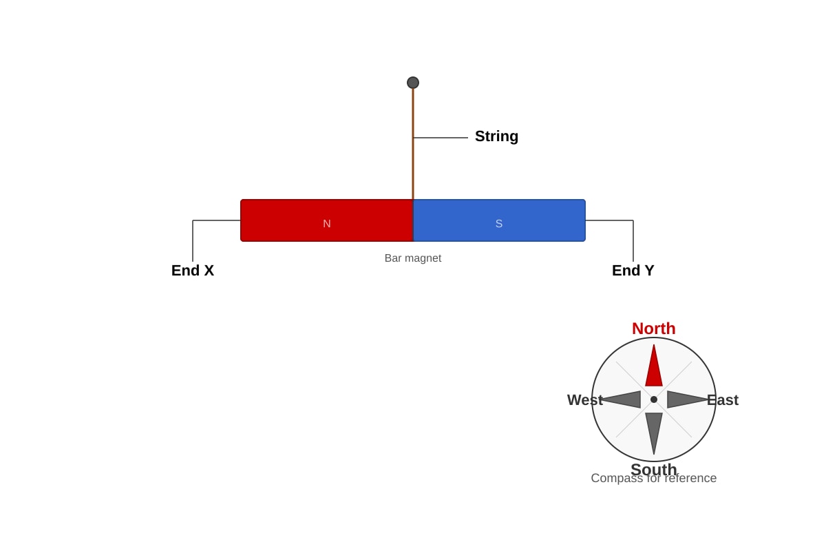 Diagram for Q11 (P6 Science)