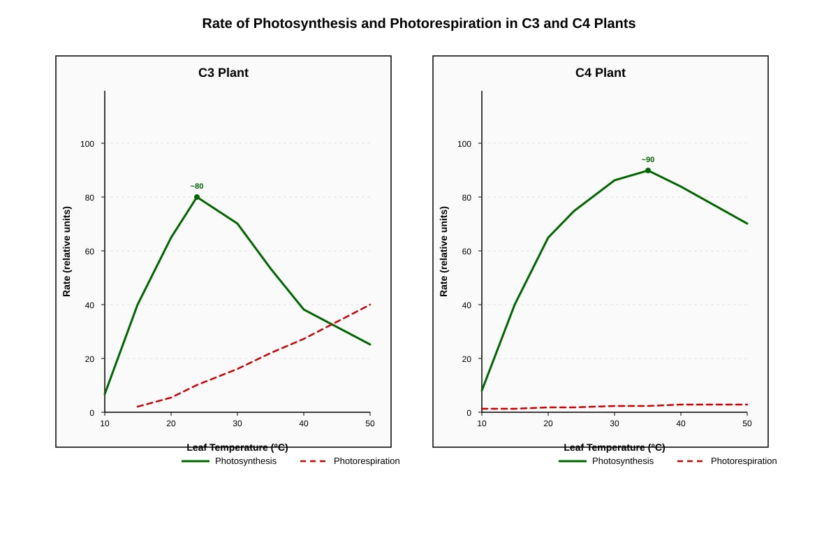 Graph for Q11 (ALEVEL Biology H3)