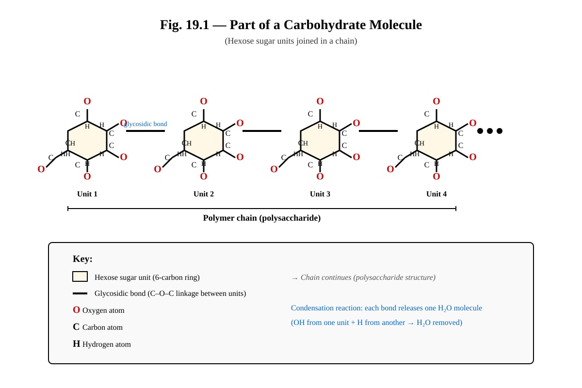Diagram for placeholder 1 (SEC4 Pure Biology)
