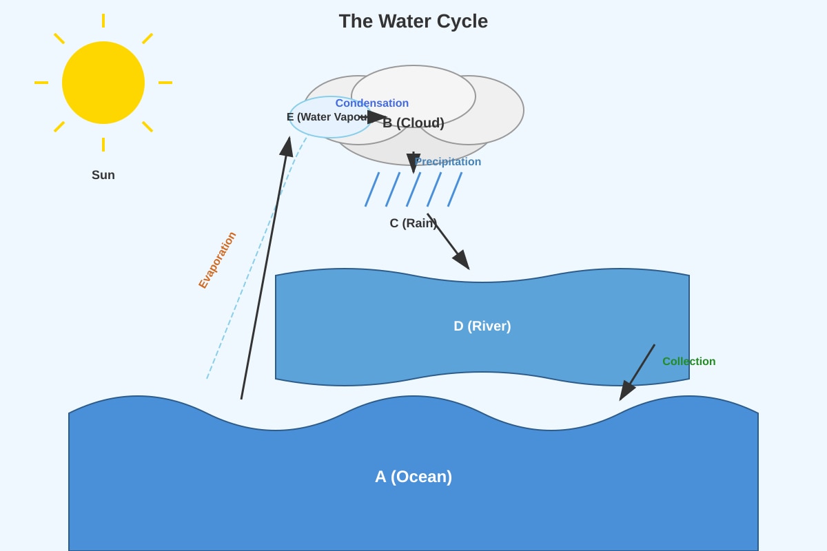 Diagram for Q20 (P4 Science)