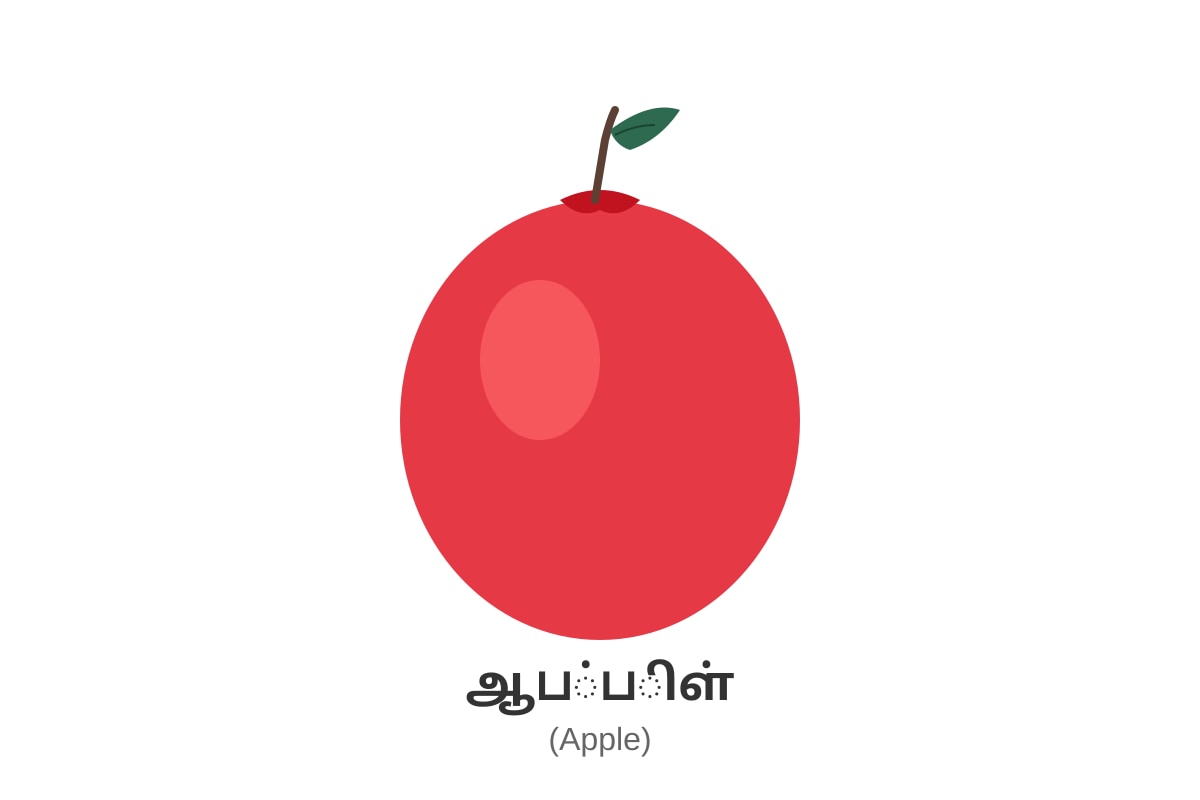 Figure for Q1 (P1 Tamil)