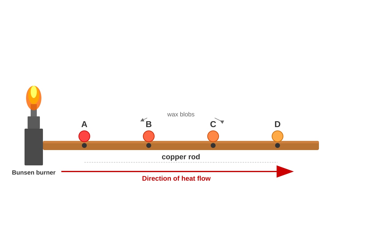 Diagram for Q11 (P6 Science)
