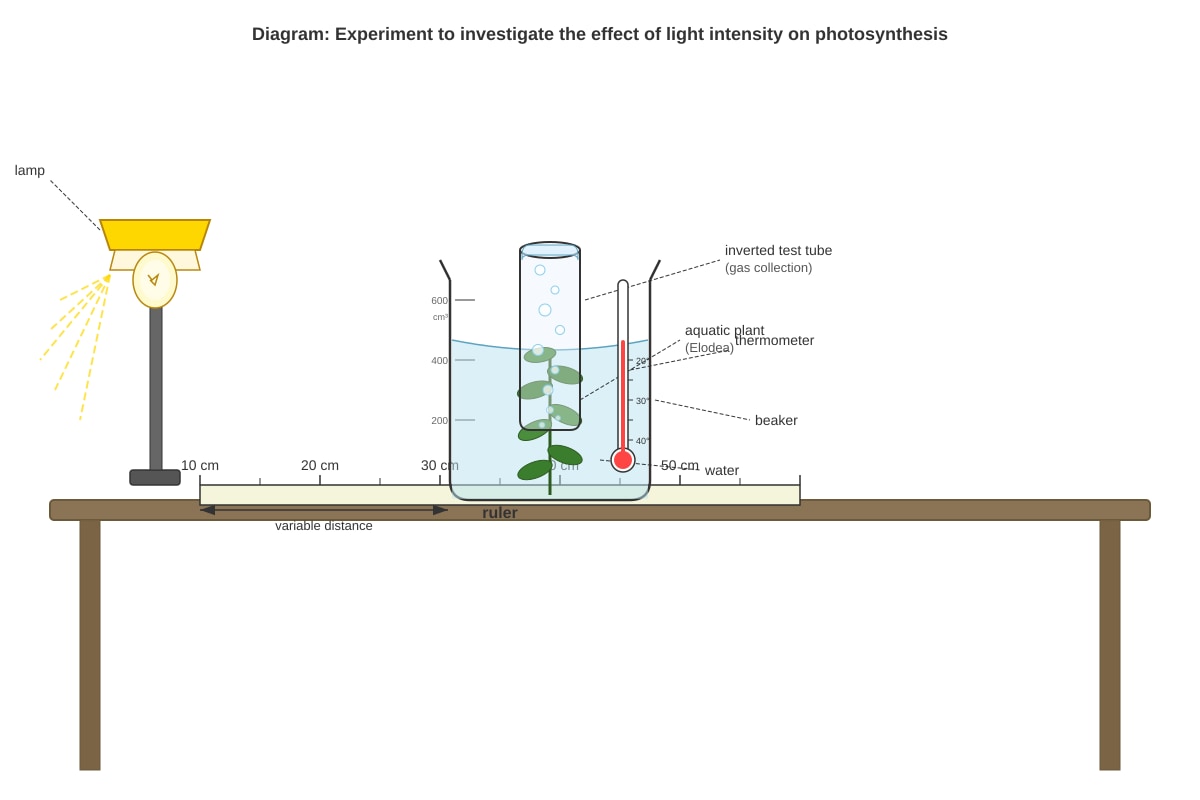 Experimental Setup for Q12 (SEC2 Science)