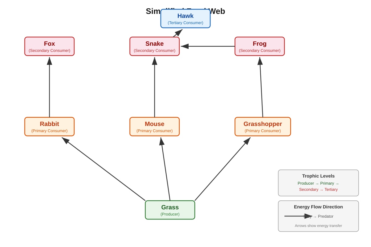 Diagram for Q4 (ALEVEL Biology H3)