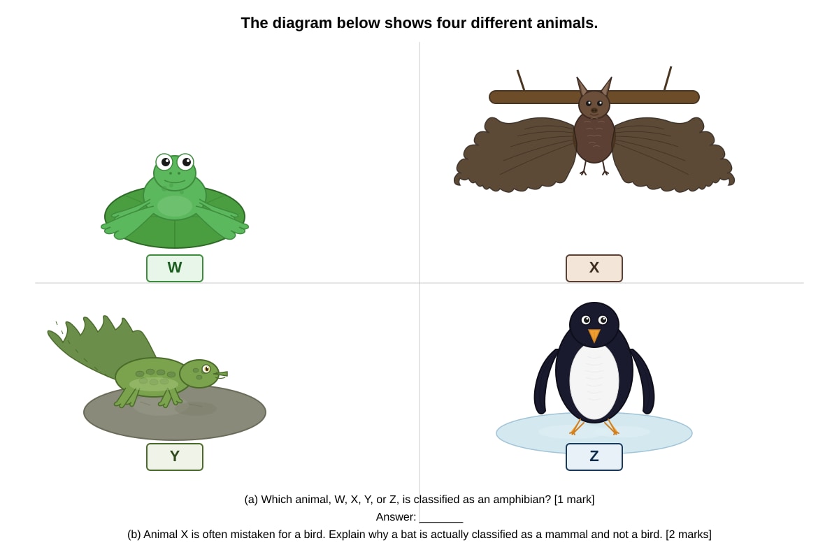 Diagram for Q11 (P5 Science)