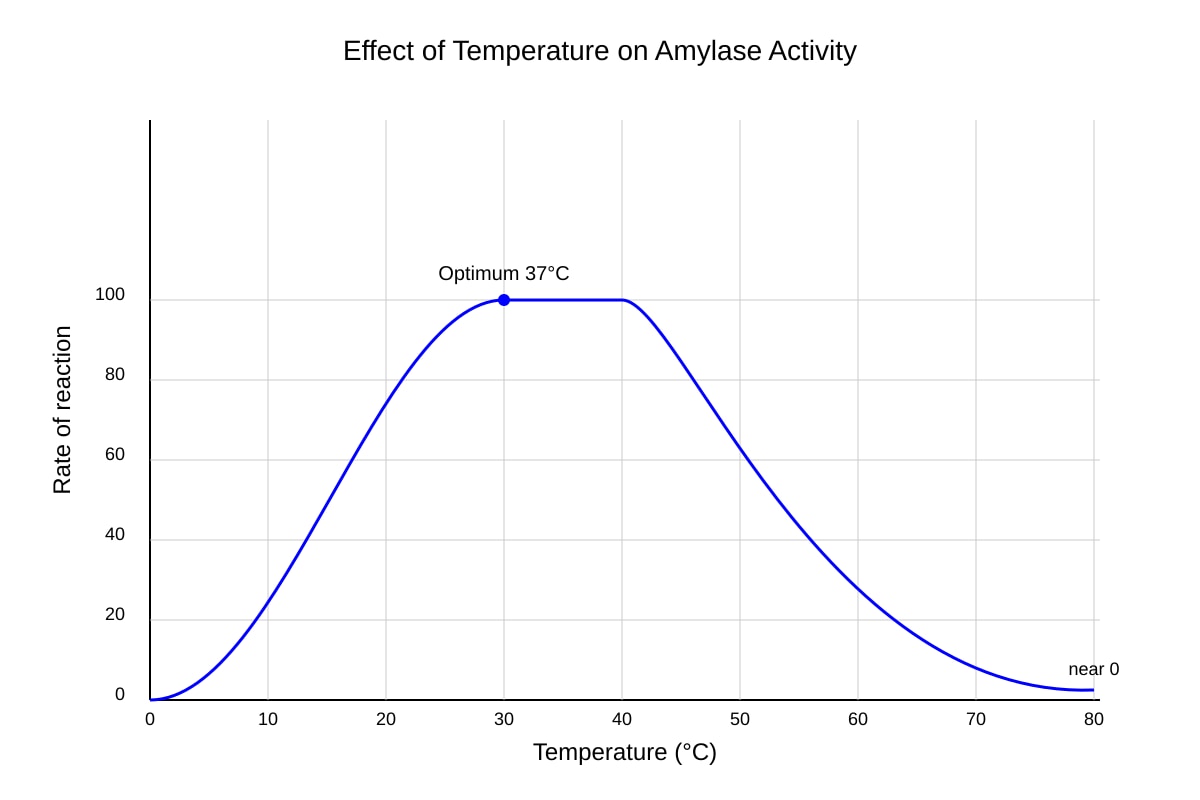 Graph for Q16 (SEC4 Pure Biology)