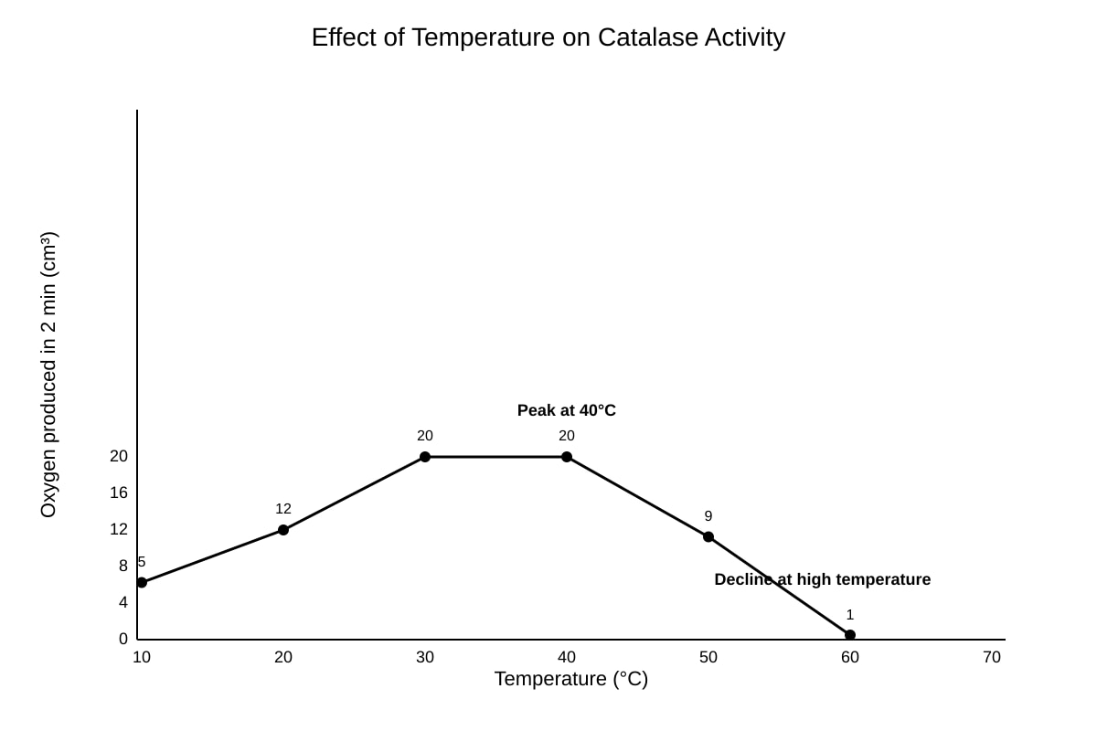 Graph for Q18 (SEC3 Biology)