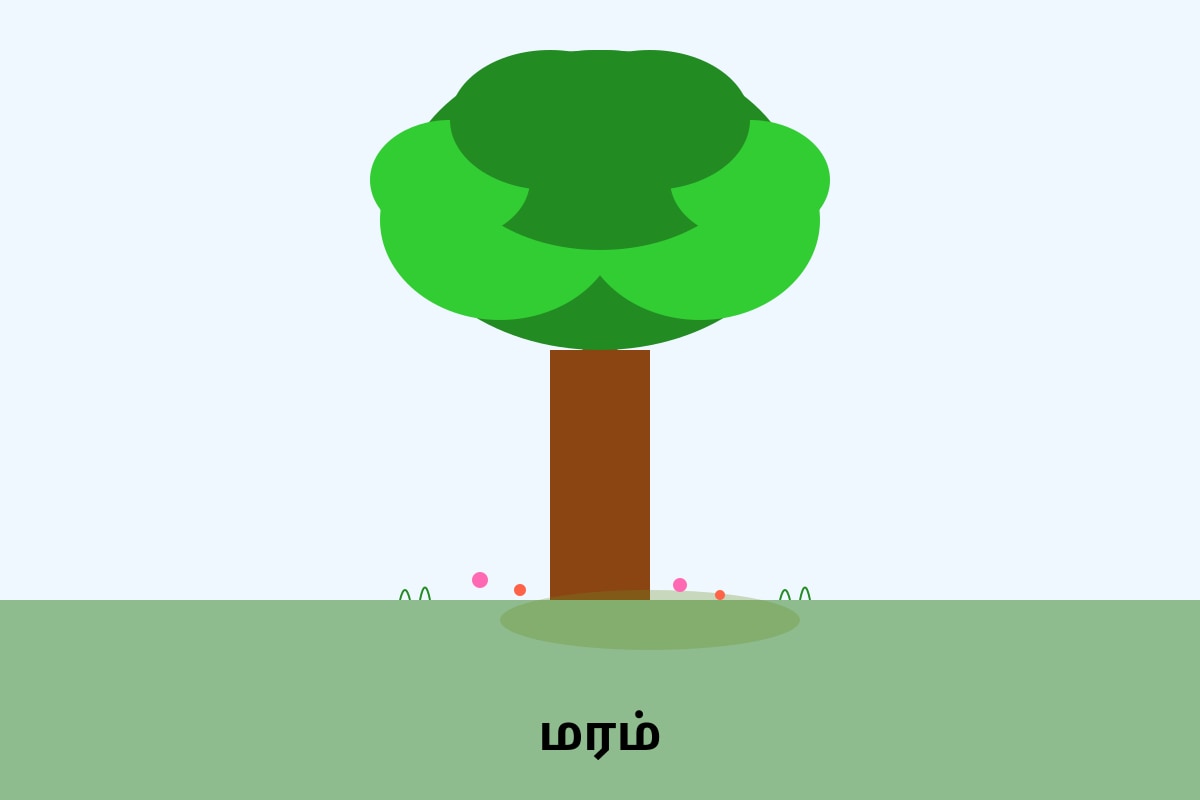 Picture for placeholder 1 (P1 Tamil)