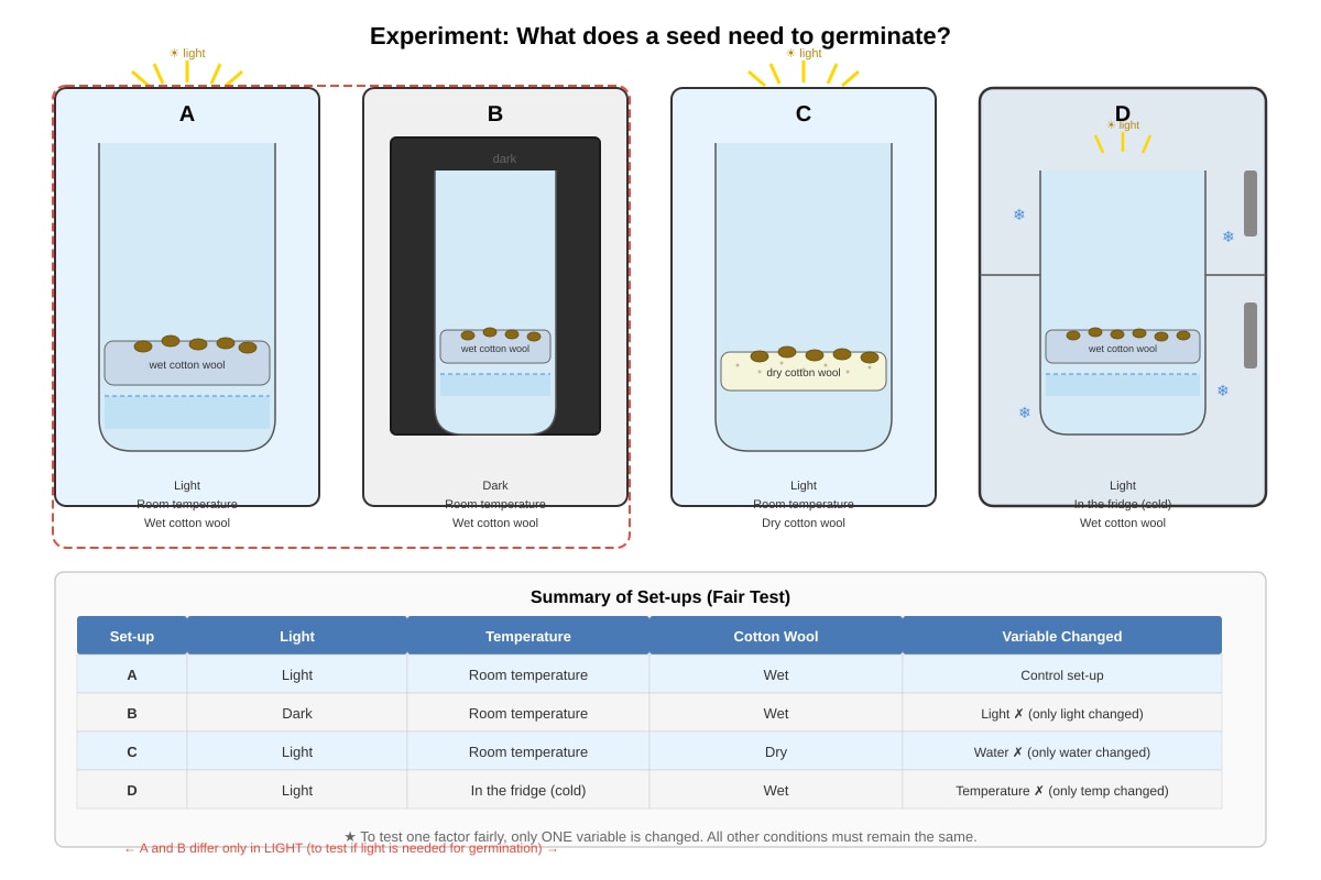 Experimental Setup for Q27 (P4 Science)