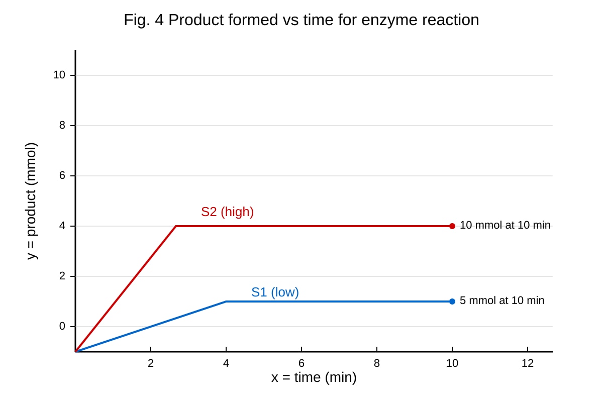 Graph for Q15 (SEC4 Pure Biology)