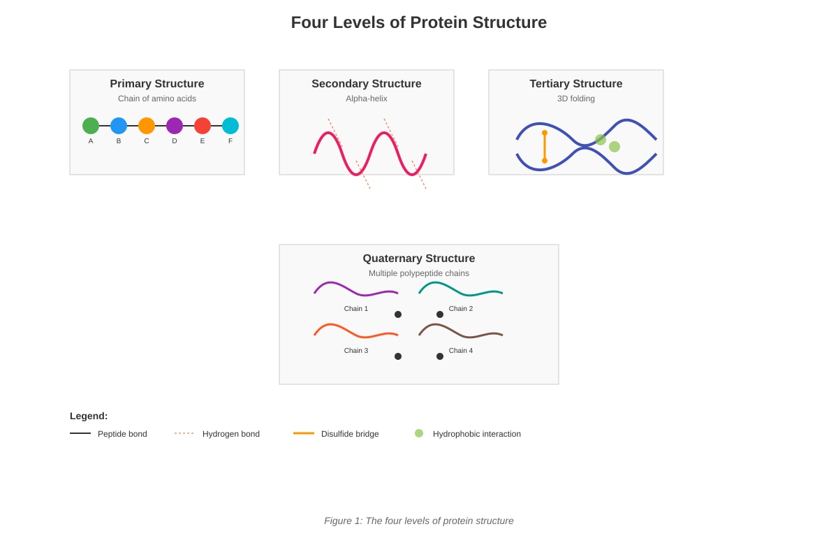 Diagram for placeholder 8 (OLEVEL Biology)