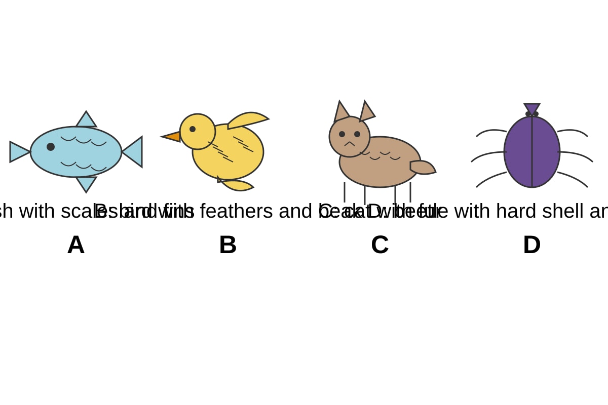 Diagram for Q19 (P3 Science)