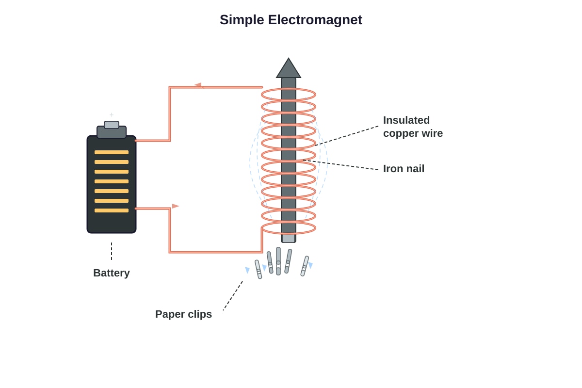 Diagram for Q21 (P5 Science)