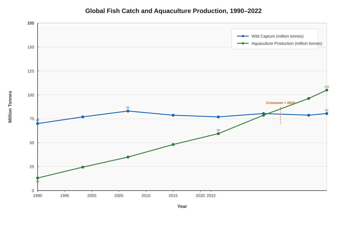 Graph for Q4 (ALEVEL Geography H2)