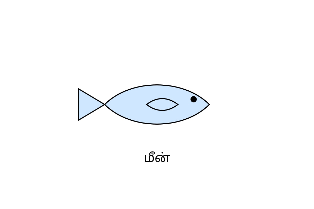 Diagram for Q17 (P2 Tamil)