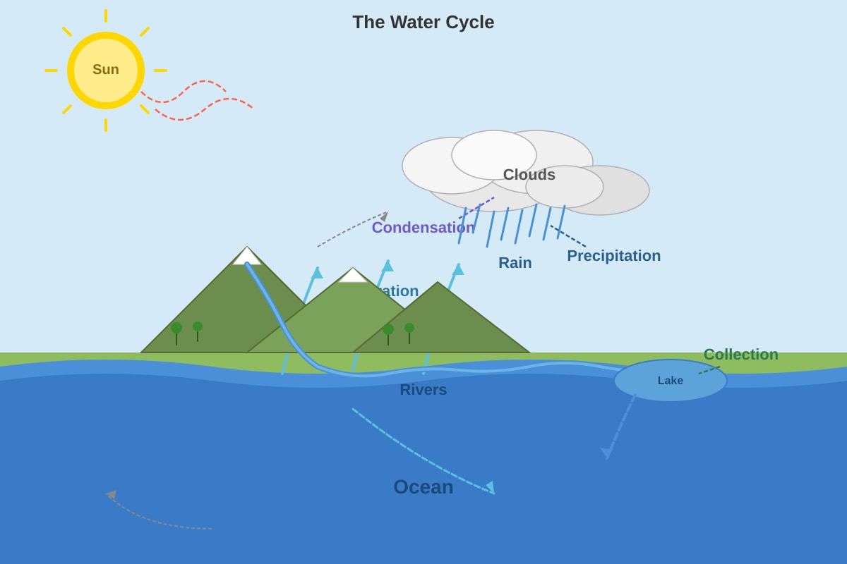 Diagram for Q13 (P6 Science)