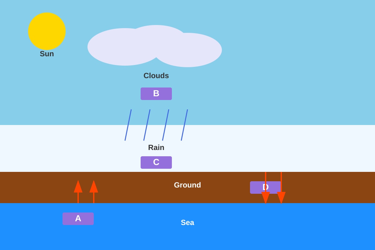 Diagram for Q25 (P5 Science)