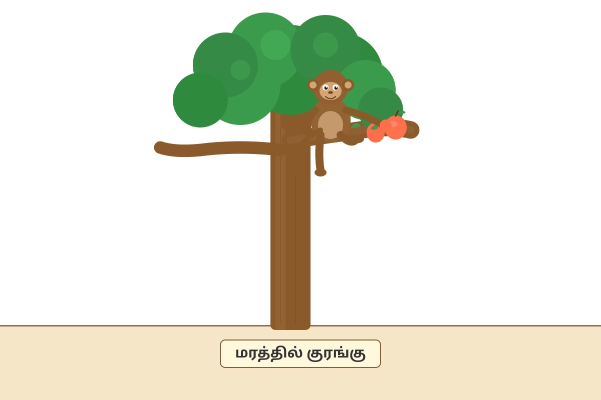 Diagram for Q18 (P1 Tamil)