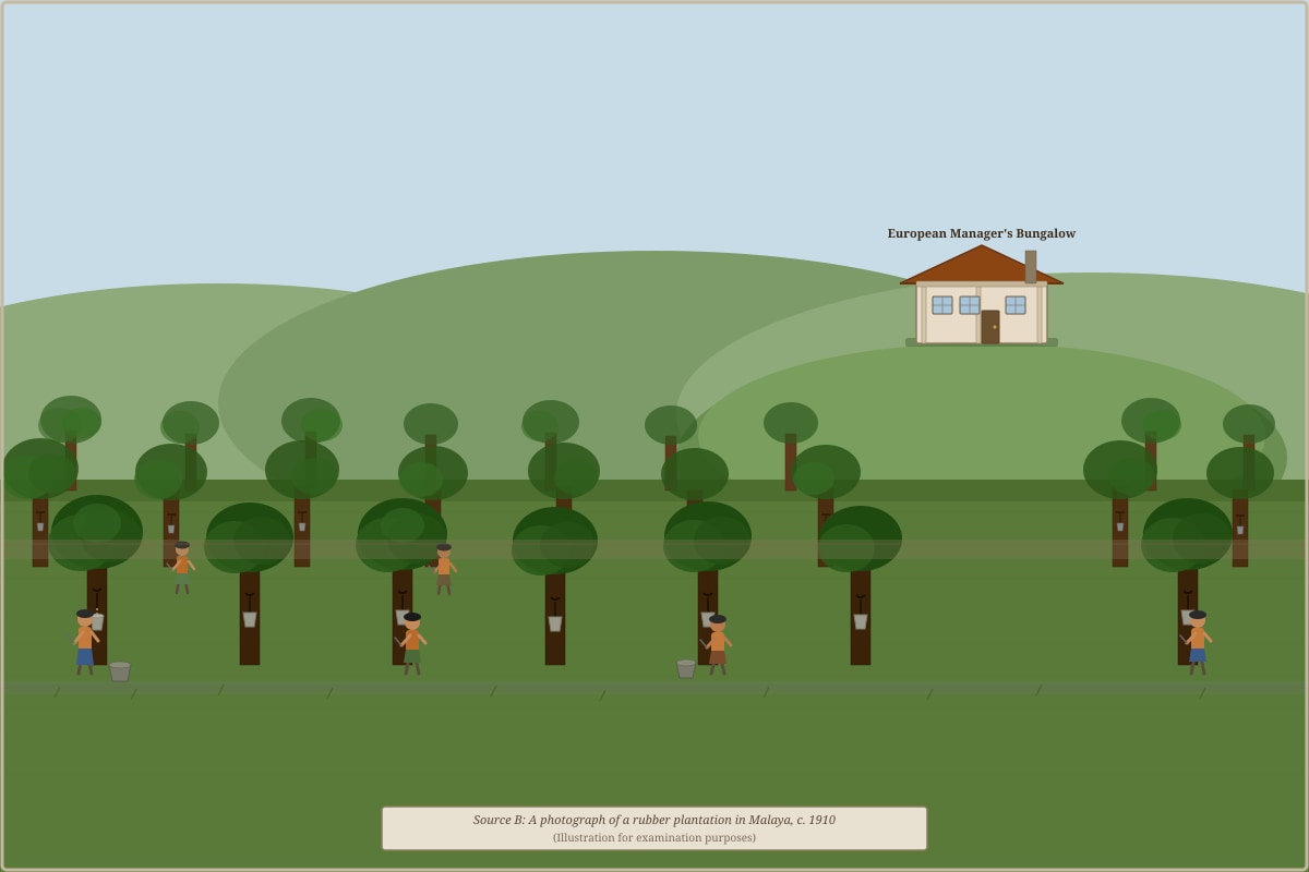 Image for placeholder 1 (SEC4 History)