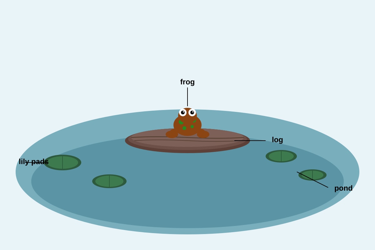 Figure for Q9 (P2 English)