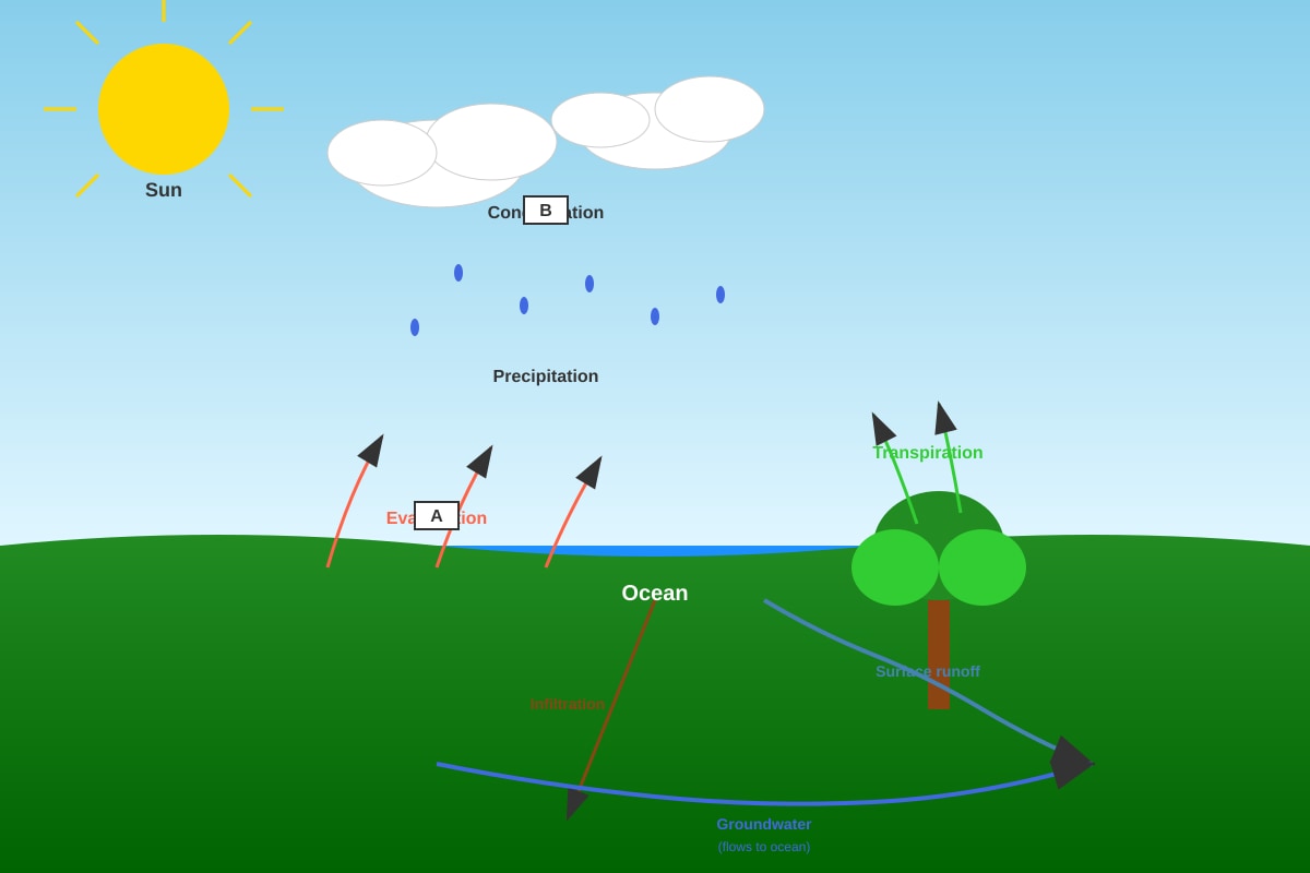Diagram for Q33 (P5 Science)