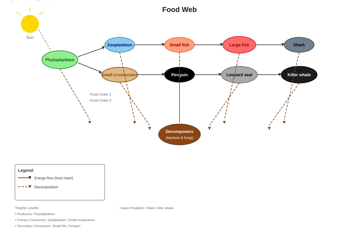 Diagram for Q34 (P6 Science)