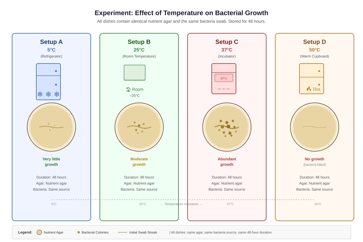Experimental Setup for Q24 (P5 Science)
