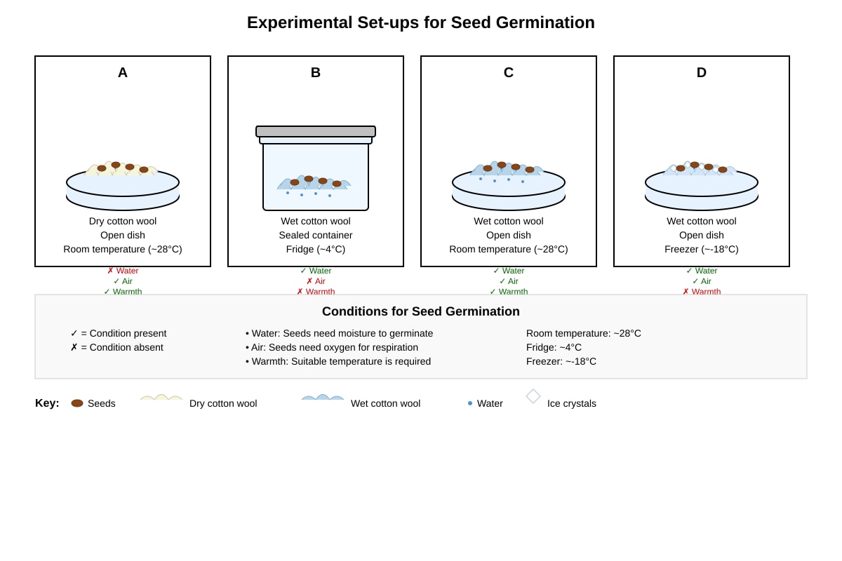 Experimental Setup for Q17 (P4 Science)