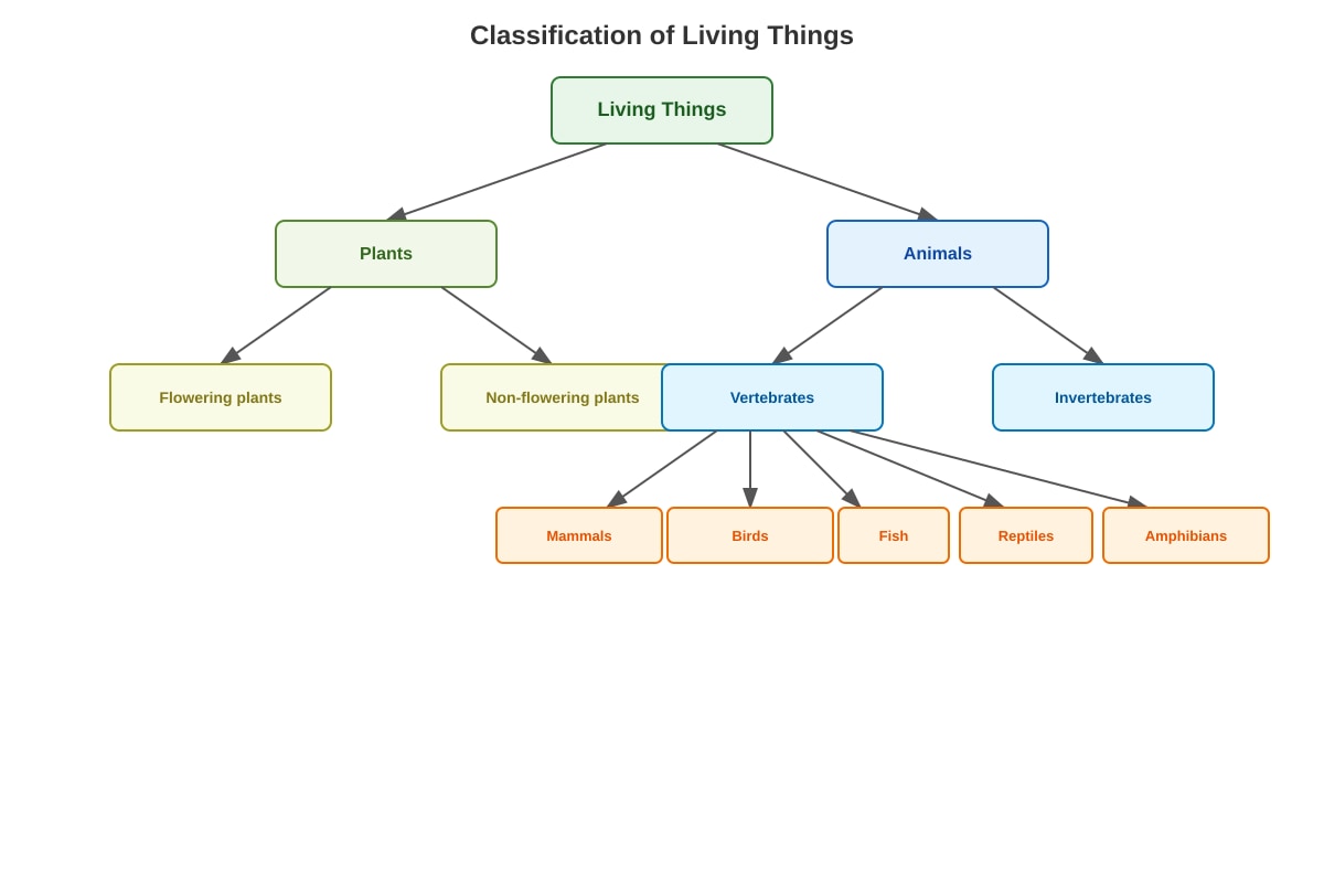 Diagram for Q3 (P5 Science)