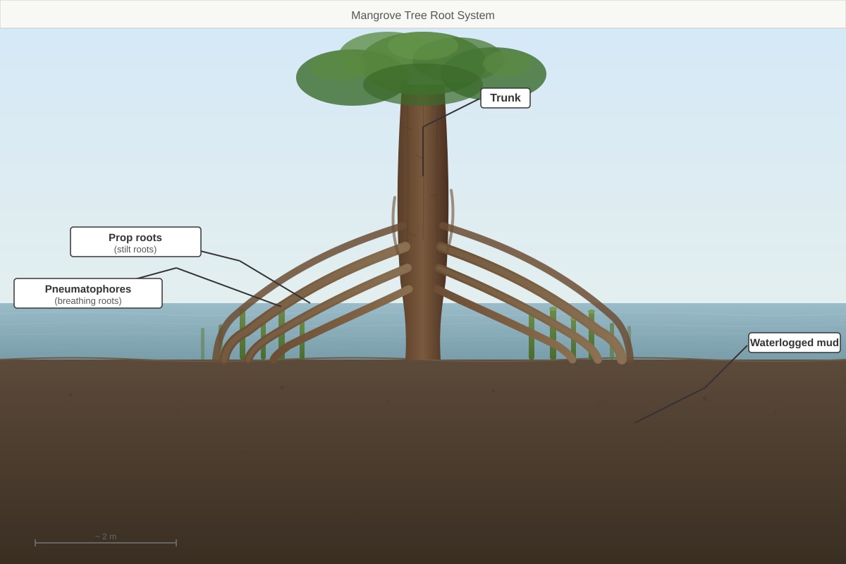 Source Image for Q9 (SEC1 Geography)