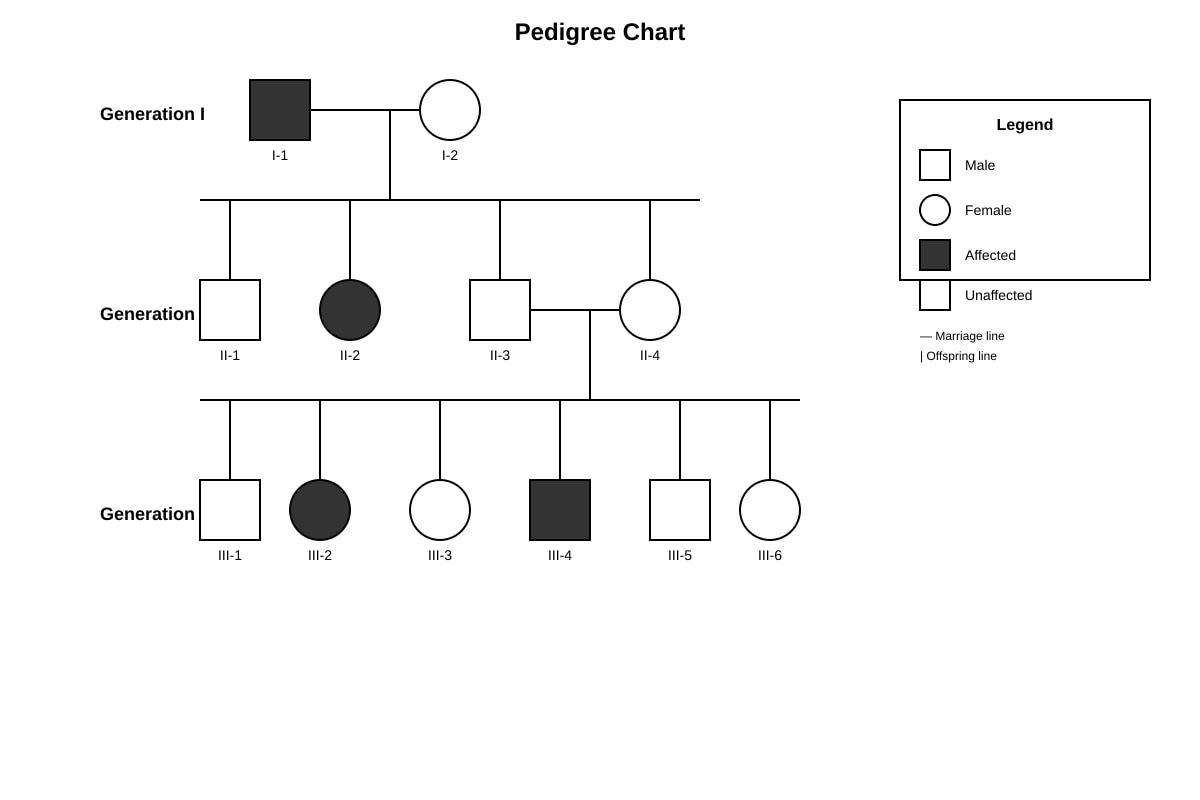 Diagram for Q13 (SEC3 Biology)