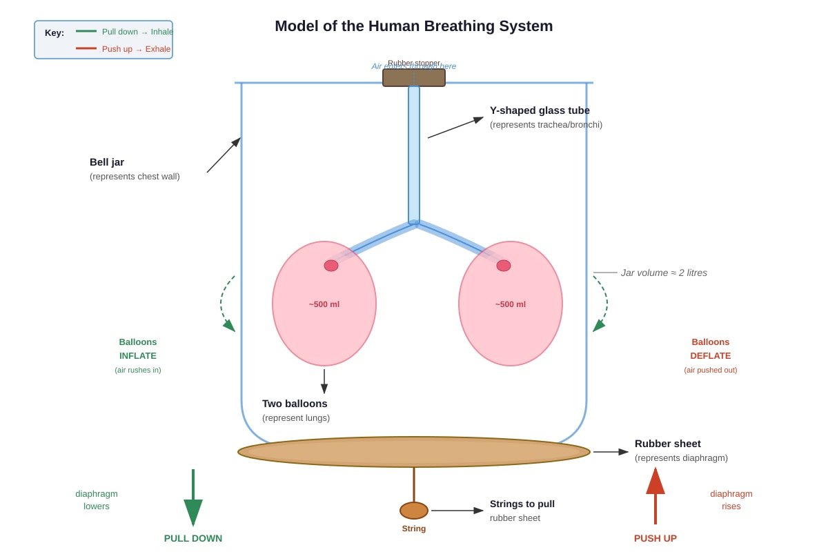 Experimental Setup for Q18 (P3 Science)