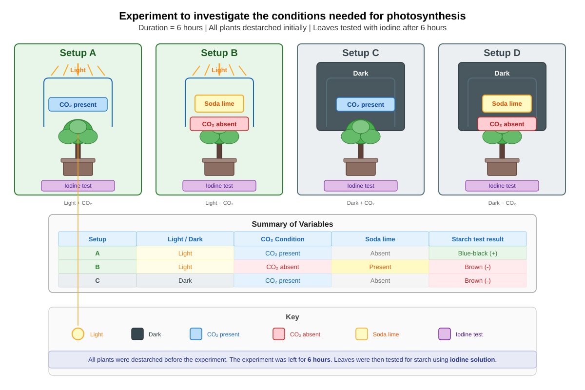 Experimental Setup for Q32 (P6 Science)