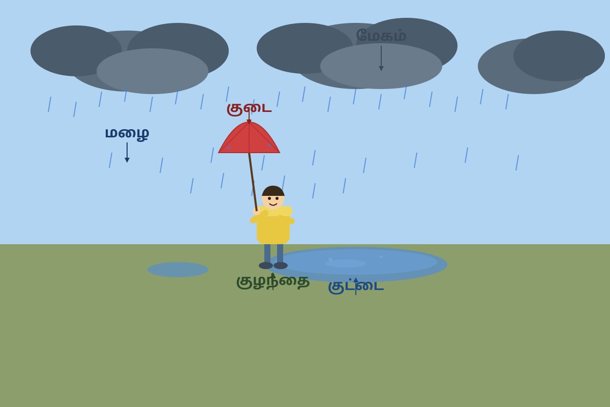 Diagram for Q16 (P3 Tamil)