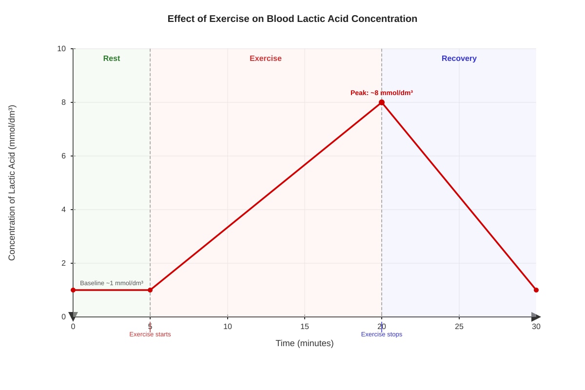 Graph for Q13 (ALEVEL Biology H1)