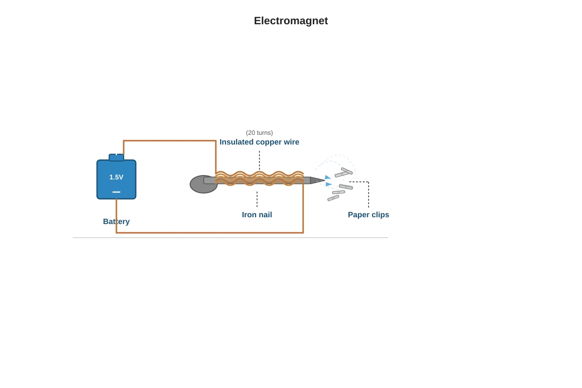 Diagram for Q20 (P5 Science)