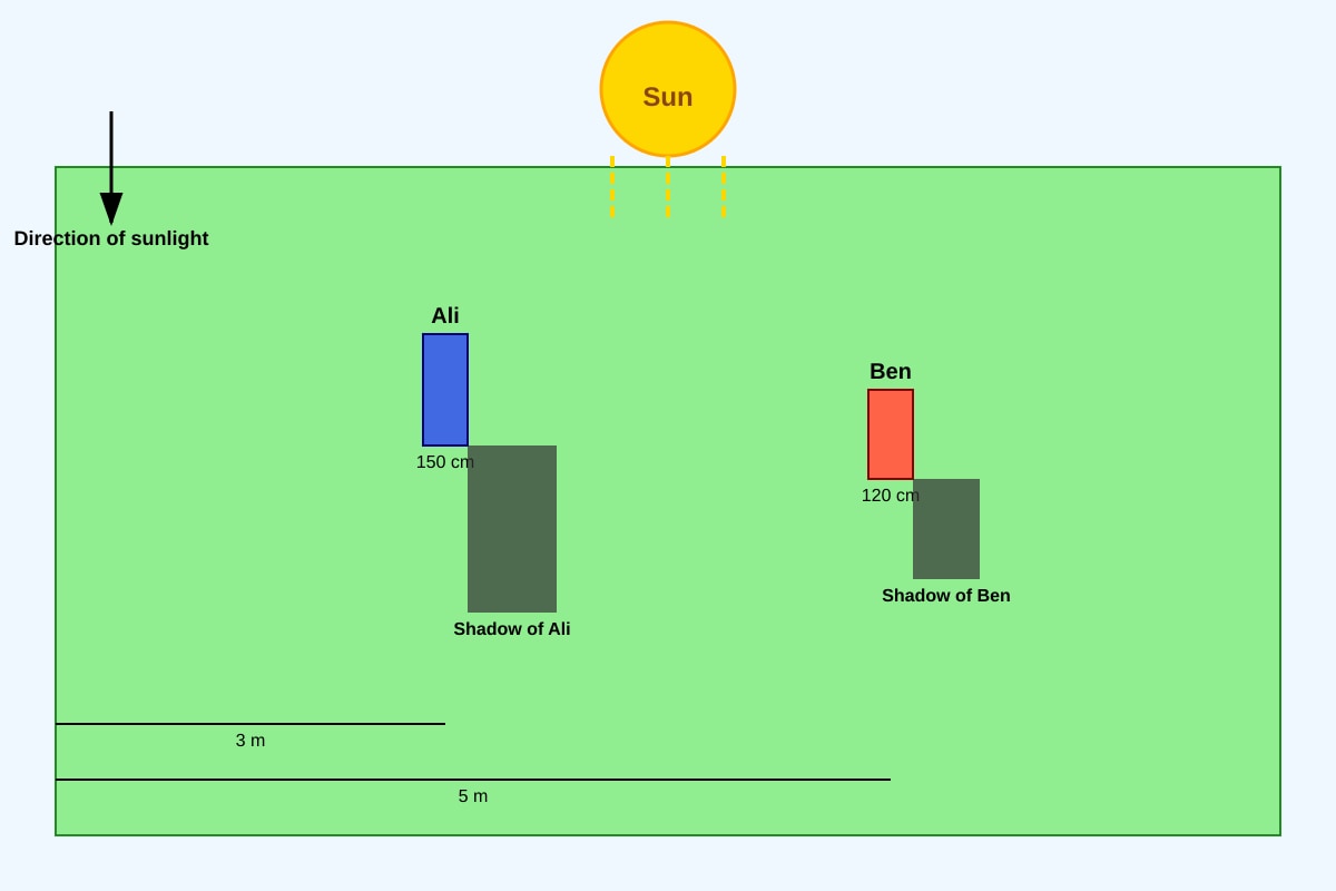 Diagram for Q10 (P4 Science)