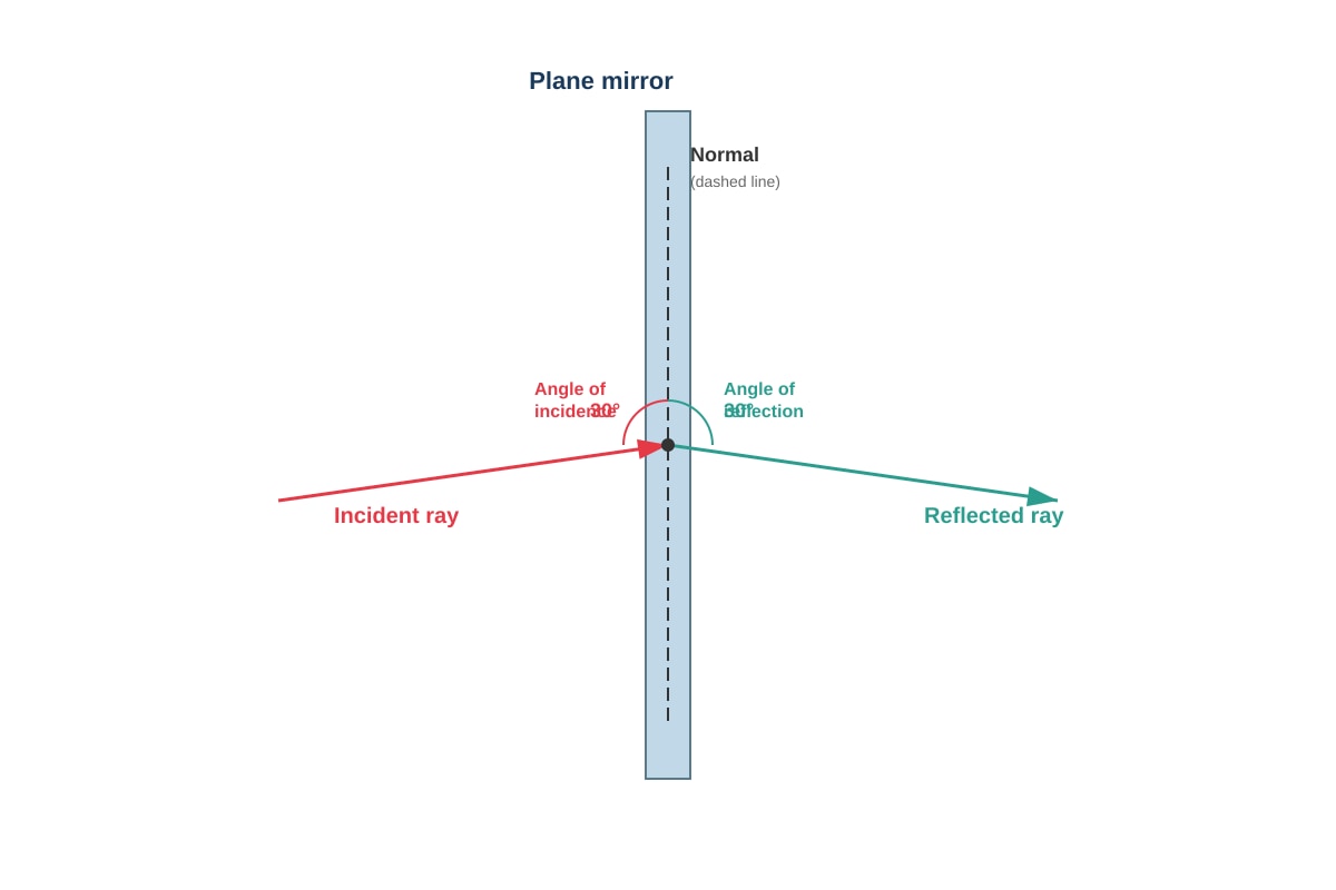 Diagram for Q19 (P4 Science)
