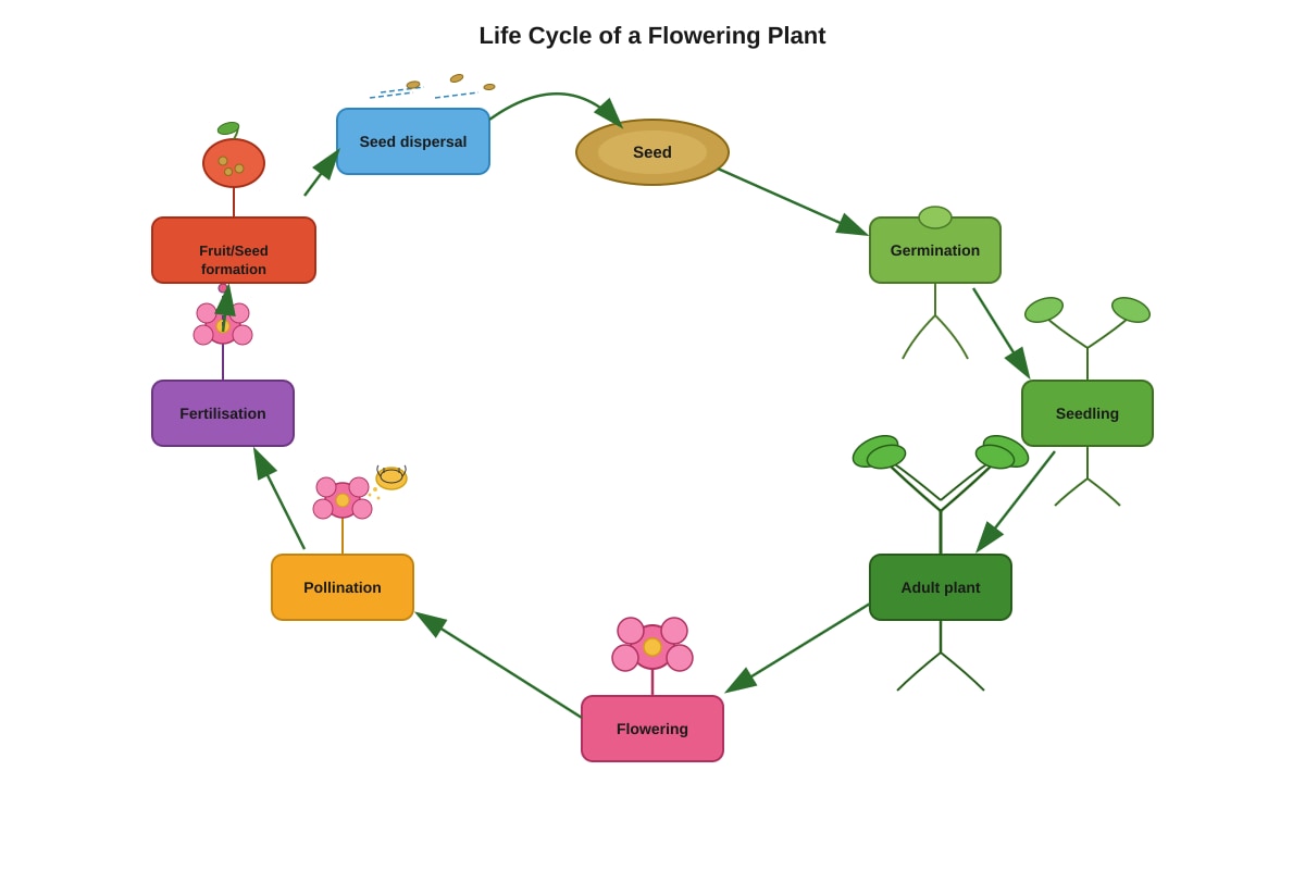 Diagram for Q9 (P5 Science)