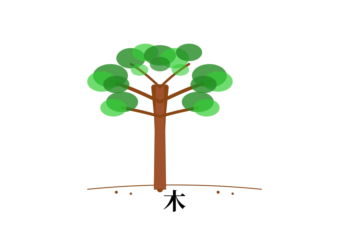 Figure for Q5 (P1 Chinese)