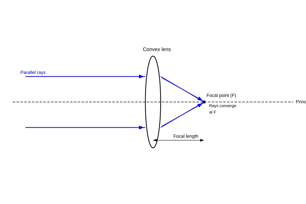 Diagram for Q20 (P6 Science)