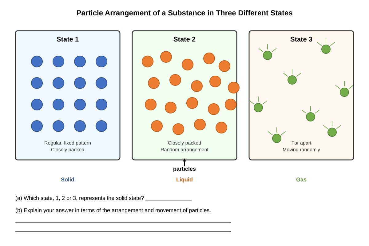 Diagram for Q13 (P6 Science)