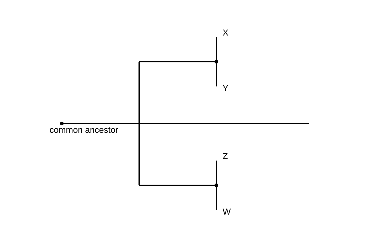 Diagram for Q18 (OLEVEL Biology)